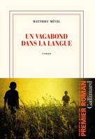 Un vagabond dans la langue, Roman