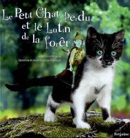 PETIT CHAT PERDU ET LE LUTIN DE LA FORET (LE)