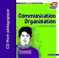 Parcours Interactifs Communication Organisation Tle Bac Pro CD-Rom