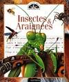 Insectes et araignées