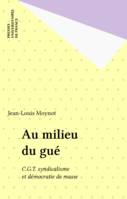 Au milieu du gué, C.G.T. syndicalisme et démocratie de masse