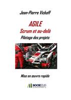 Agile, scrum et au-delà, Agile Scrum et au-delà - Pilotage des projets, Mise en oeuvre rapide