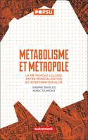 Métabolisme et métropole, La métropole lilloise, entre mondialisation et interterritorialité