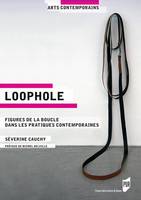 Loophole, Figures de la boucle dans les pratiques contemporaines