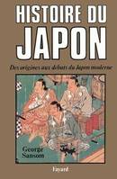 Histoire du Japon, Des origines au début du Japon moderne