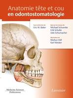 Anatomie tête et cou en odontostomatologie