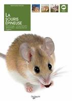 La souris épineuse