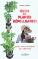 Guide des plantes dépolluantes, purifiez l'air que vous respirez dans votre maison