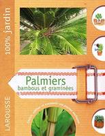Palmiers, choisir, cultiver et entretenir vos plantes exotiques
