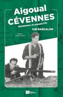 Aigoual-Cévennes, Résistance et maquis FFI