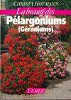 La beauté des pélargoniums, des plantes pour tous les jardins