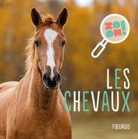 Zoom ! Les chevaux