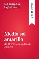 Medio sol amarillo de Chimamanda Ngozi Adichie (Guía de lectura), Resumen y análisis completo