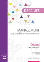 Management des systèmes d'information - Énoncé, UE 5 DU DSCG