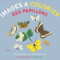 images a colorier des papillons