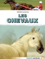Chevaux (Les)