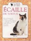 Le chat écaille de tortue