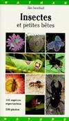 Insectes et petites bêtes