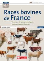 Races bovines de France