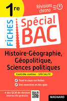 Spécial Bac Fiches Histoire-Géo, Géopolitique, Sciences Po 1re Bac 2024, Tout le programme en 51 fiches, mémos, schémas-bilans, exercices et QCM