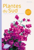 Plantes du Sud (NE), comment les choisir et les cultiver facilement