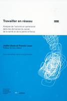 Travailler en réseau, Analyse de l’activité en partenariat dans les domaines du social, de la santé et de la petite enfance