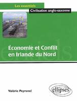 Economie et Conflit en Irlande du Nord