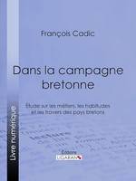 Dans la campagne bretonne, Étude sur les métiers, les habitudes et les travers des pays bretons