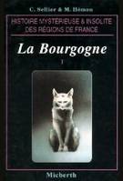 La Bourgogne., Vol. I, La Bourgogne