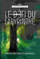 La caverne cristalline - Tome 2-, LE DÉFI DU LABYRINTHE