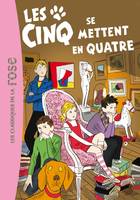 Le Club des cinq, 30, Les Cinq 30 - Les Cinq se mettent en quatre, une nouvelle aventure des personnages créés par Enid Blyton