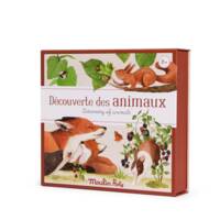 Coffret Découverte Animaux du Jardin