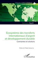 Écosystème des transferts internationaux d'argent et développement durable, Contraintes et solutions