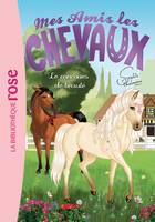 10, Mes amis les chevaux / Ma première bibliothèque rose