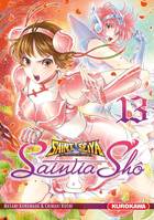 13, Saint Seiya Saintia Shô Tome 13, Les chevaliers du zodiaque