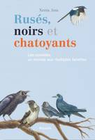 Rusés, noirs et chatoyants, Les corvidés, un monde aux multiples facettes