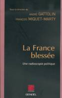 La France blessée, Une radioscopie politique