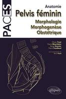 UE5 - Anatomie : pelvis et petit bassin. Morphologie Morphogenèse Obstétrique