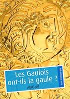 Les Gaulois ont-ils la gaule ? (pulp gay)