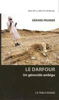 Le Darfour, Un génocide ambigu