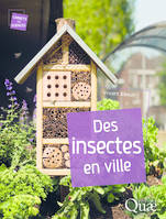 Des insectes en ville