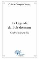 La Légende du bois dormant, Un conte d’aujourd’hui