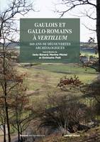 Gaulois et Gallo-romains à Vertillium. 160 ans de découvertes archéologiques, 160 ans de découvertes archéologiques
