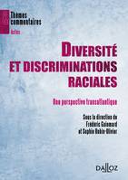 Diversité et discriminations raciales, Une perspective transatlantique