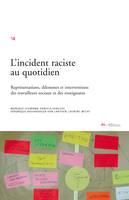 L'incident raciste au quotidien, Représentations, dilemmes et interventions des travailleurs sociaux et des enseignants