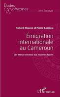 Emigration internationale au Cameroun, Des enjeux nouveaux aux nouvelles figures