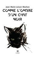 Comme l'ombre d'un chat noir