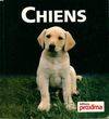 Chiens Collin, Isabelle