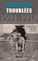 Identités troublées 1914-1918, Les appartenances sociales et nationales à l'épreuve de la guerre