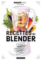 Recettes au blender